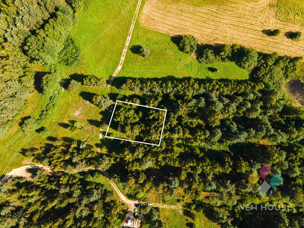 Działka Sprzedaż Woryty