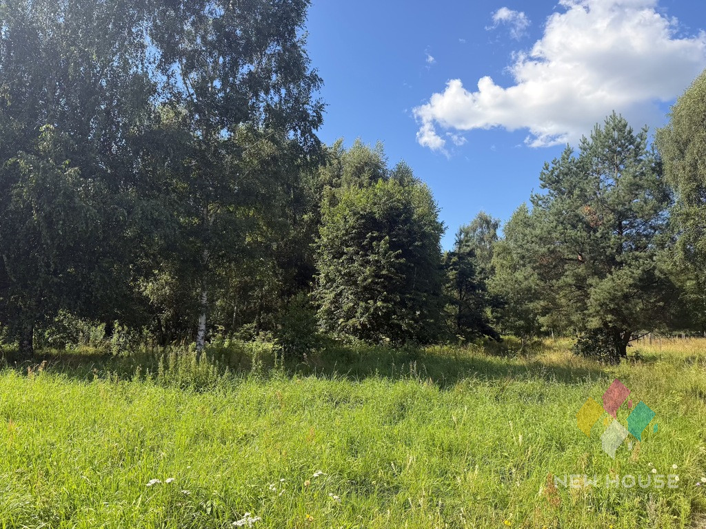 Działka Sprzedaż Woryty