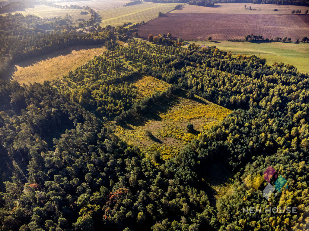 Działka Sprzedaż Tymawa