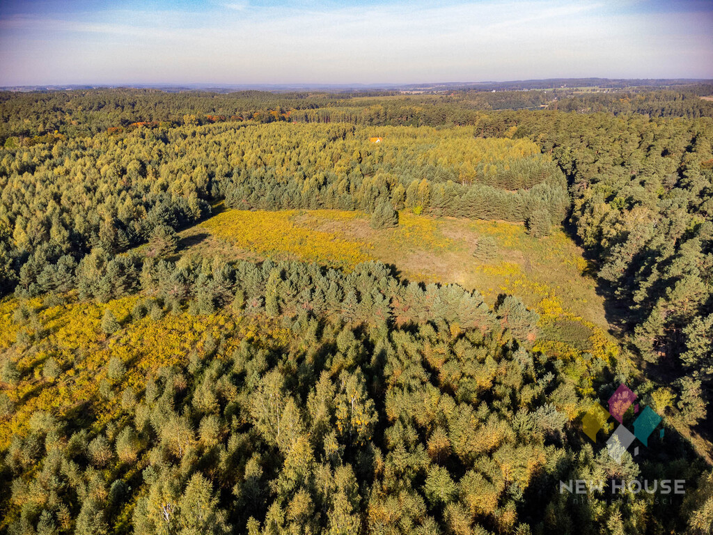 Działka Sprzedaż Tymawa