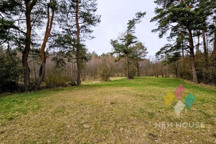 Działka Sprzedaż Prawdowo