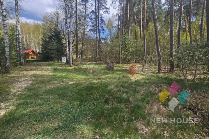 Działka Sprzedaż Świętajno Grunwaldzka