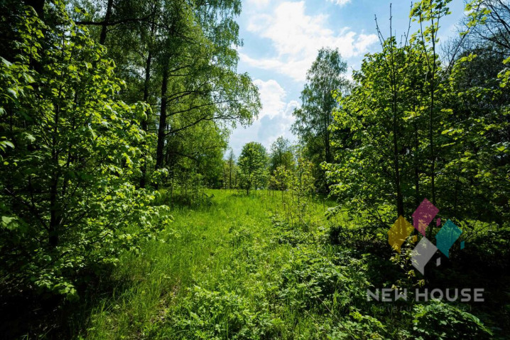 Działka Sprzedaż Kiersztanowo
