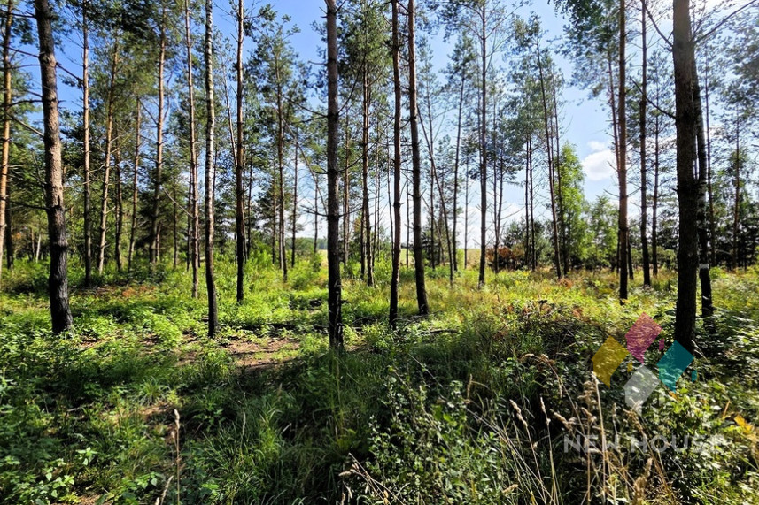 Działka Sprzedaż Jabłonka