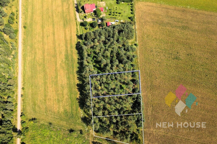 Działka Sprzedaż Jabłonka