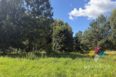Działka Sprzedaż Woryty