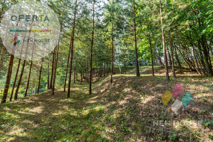 Dom Sprzedaż Olsztyn Wadąska