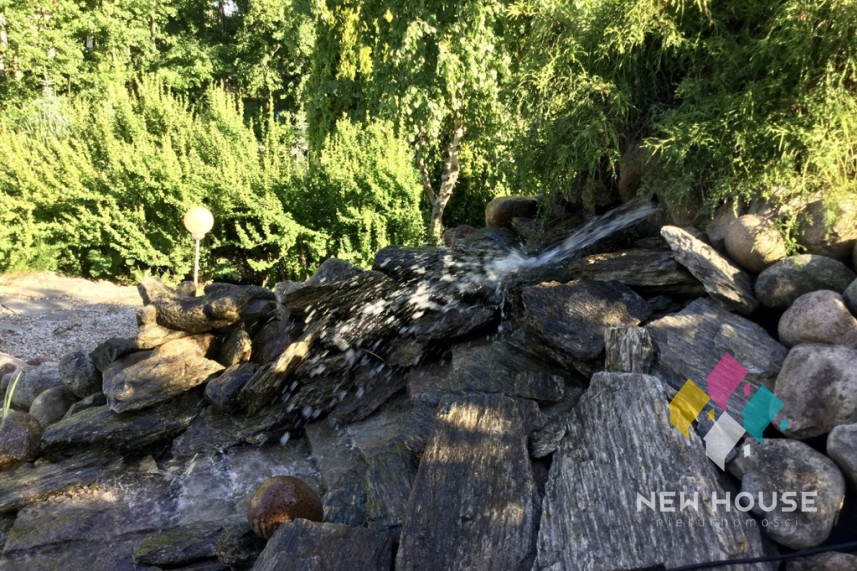 Dom Sprzedaż Borowe