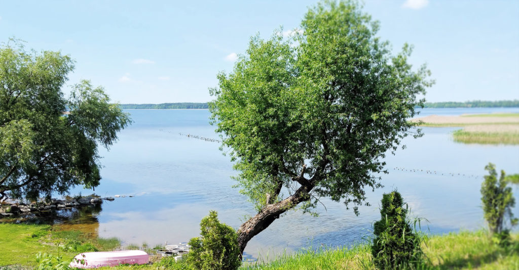5 POWODÓW DLA KTÓRYCH WARTO KUPIĆ MIESZKANIE NA MAZURACH